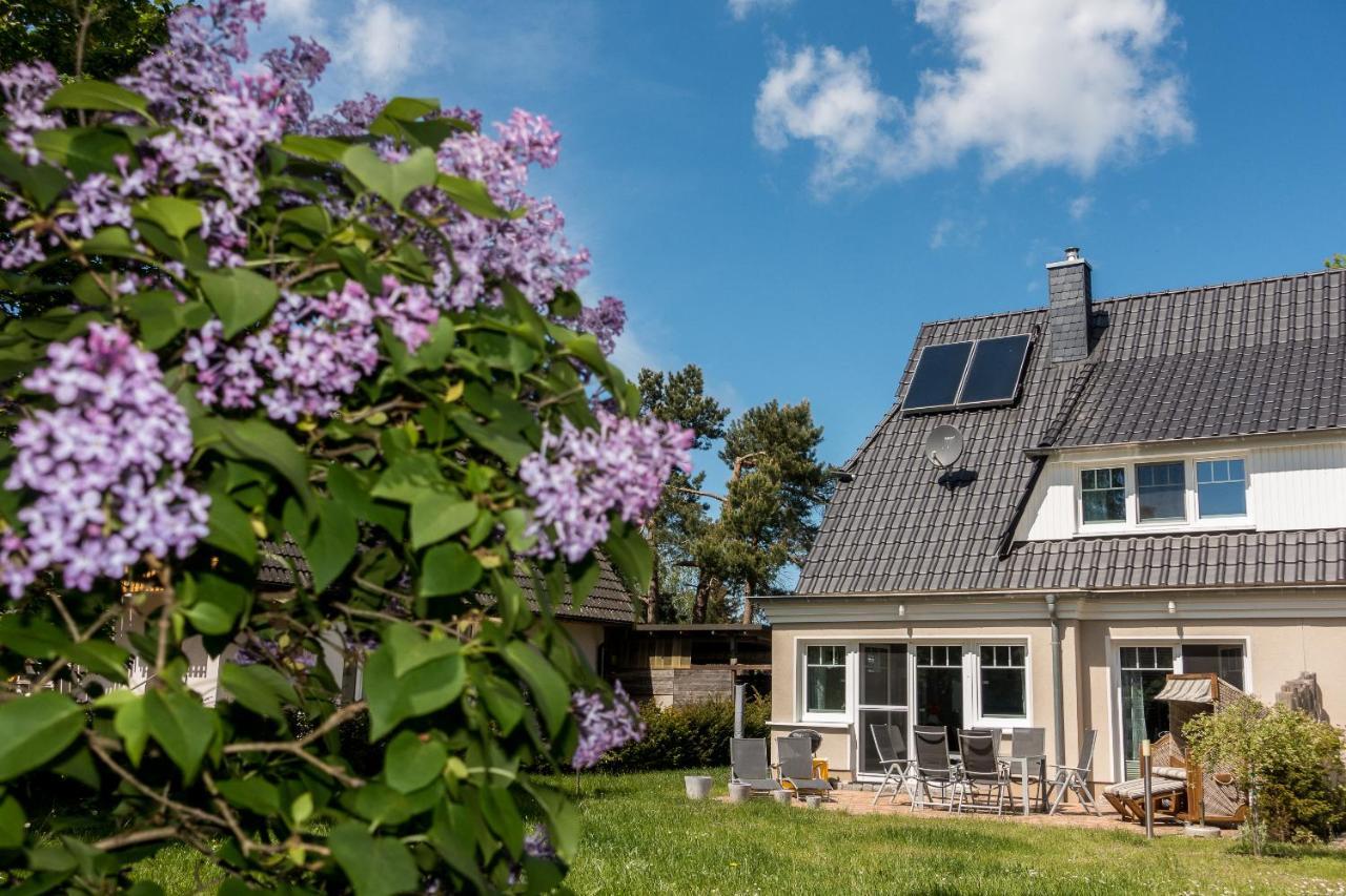 הוילה בורן Premiumhaus Bodden Und Mehr-Brise מראה חיצוני תמונה